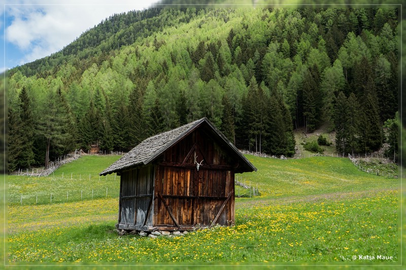 Erdbeerweg_Vinschgau_2018_09.jpg