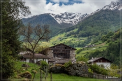 Erdbeerweg_Vinschgau_2018_05