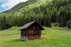 Erdbeerweg_Vinschgau_2018_09