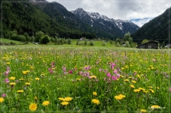 Erdbeerweg_Vinschgau_2018_10