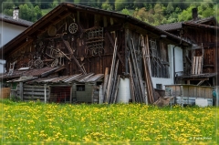 Erdbeerweg_Vinschgau_2018_12