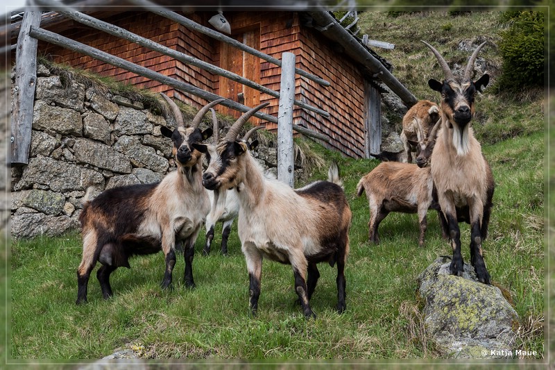 Vinschgau_2018_085.jpg