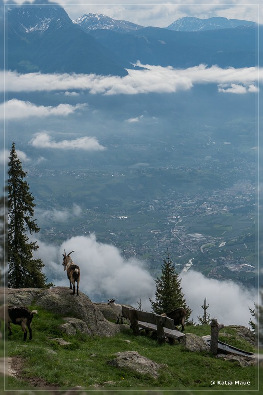 Vinschgau_2018_088.jpg