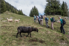 Vinschgau_2018_083