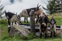 Vinschgau_2018_087