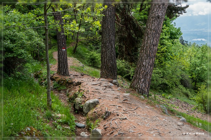 Alpen_2018_065.jpg