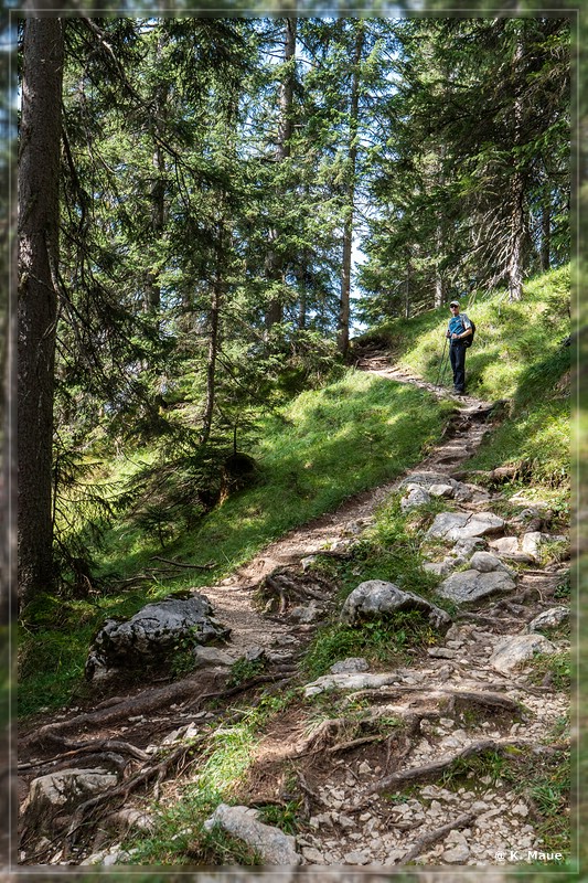 Alpen_2019_076.jpg