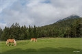 Alpen_2019_074