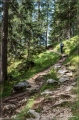 Alpen_2019_076
