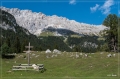 Alpen_2019_085