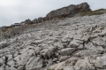 Alpen_2019_159