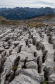 Alpen_2019_160