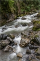 Alpen_2019_180