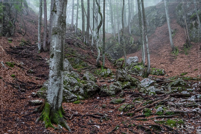 Alpen_2020_133.jpg