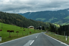 Alpen_2020_570