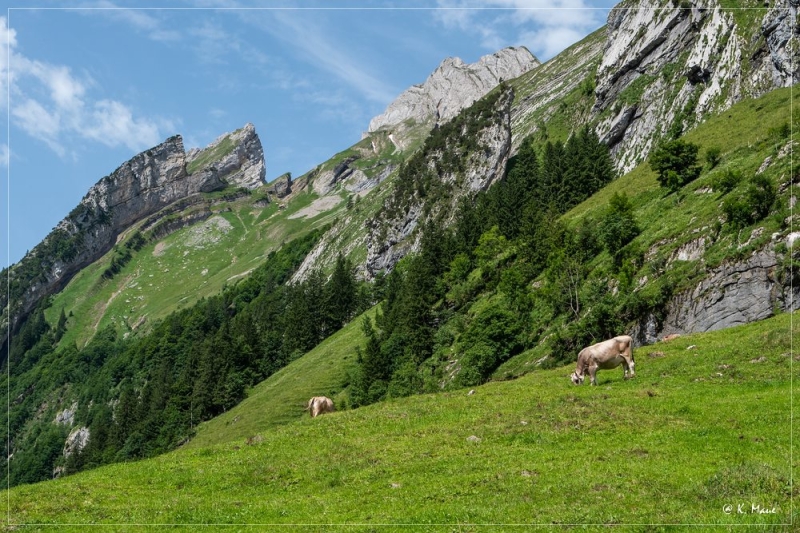 Alpen_2021_109.jpg