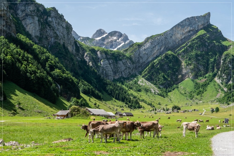 Alpen_2021_114.jpg