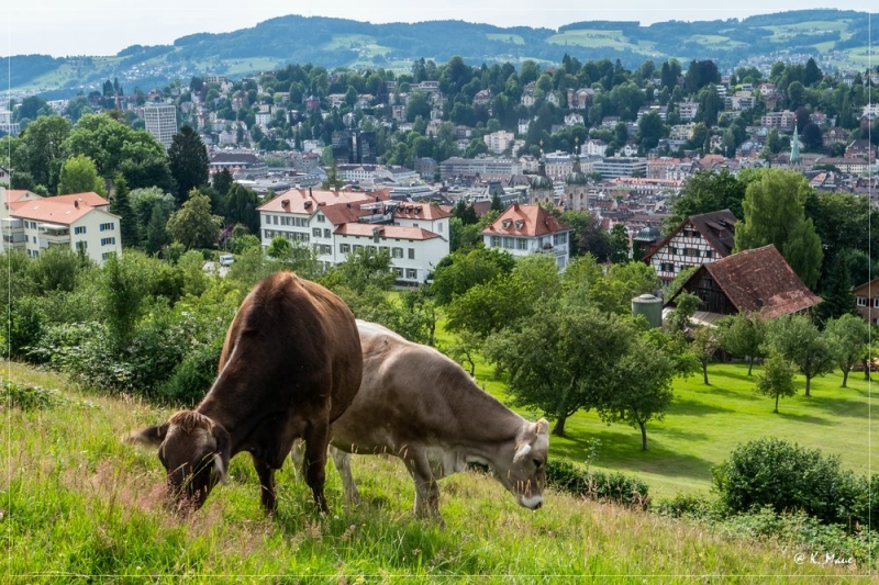 Alpen_2021_161.jpg