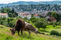 Alpen_2021_161