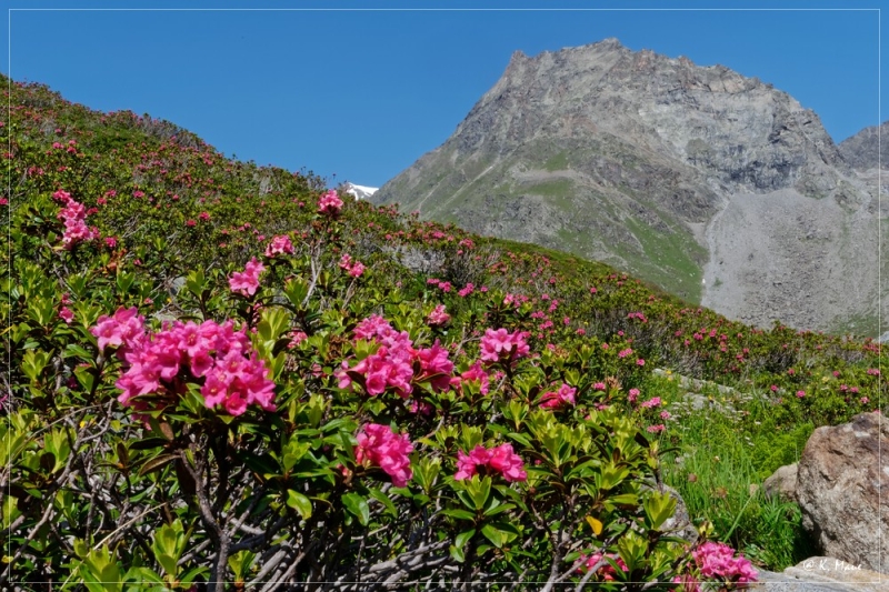 Alpen_2021_329.jpg