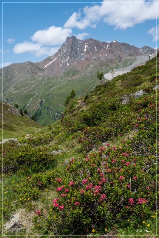 Alpen_2021_388.jpg