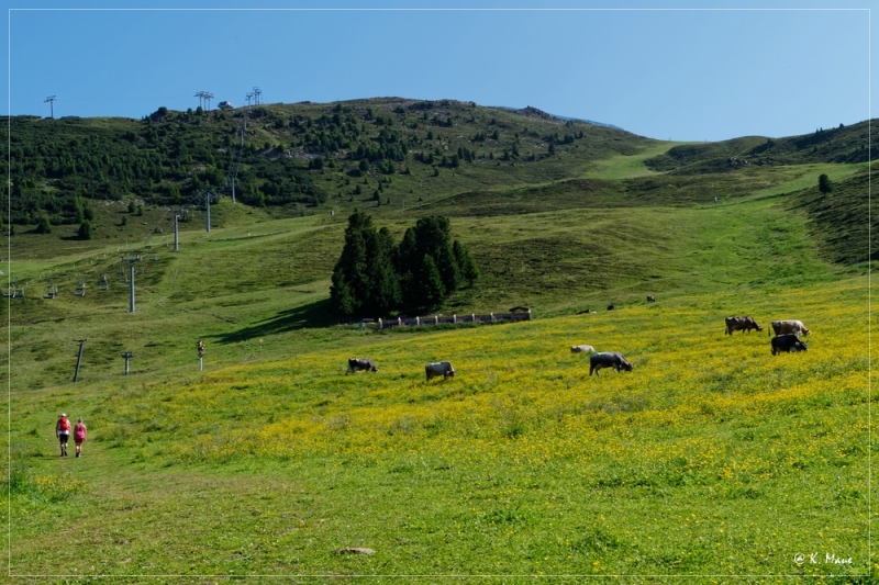 Alpen_2021_393.jpg