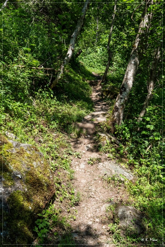 Alpen_2021_486.jpg