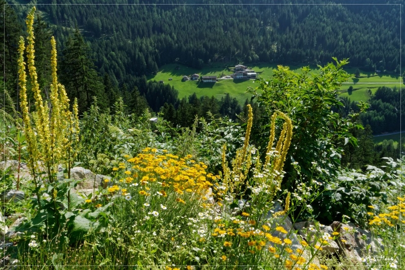 Alpen_2021_496.jpg