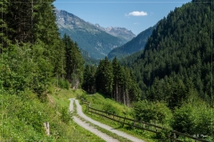 Alpen_2021_485