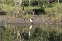 austr2011_306