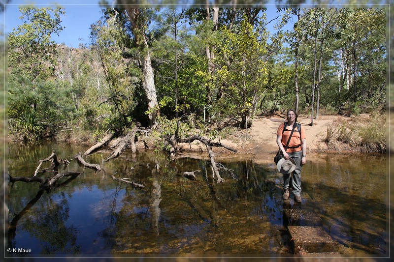 austr2011_242.jpg