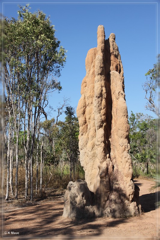 austr2011_372.jpg