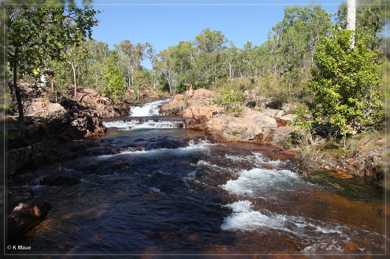 austr2011_375.jpg