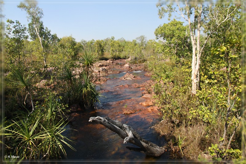 austr2011_386.jpg