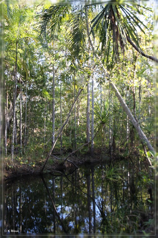 austr2011_390.jpg
