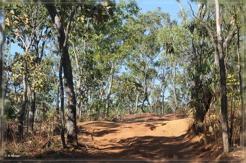 austr2011_391.jpg