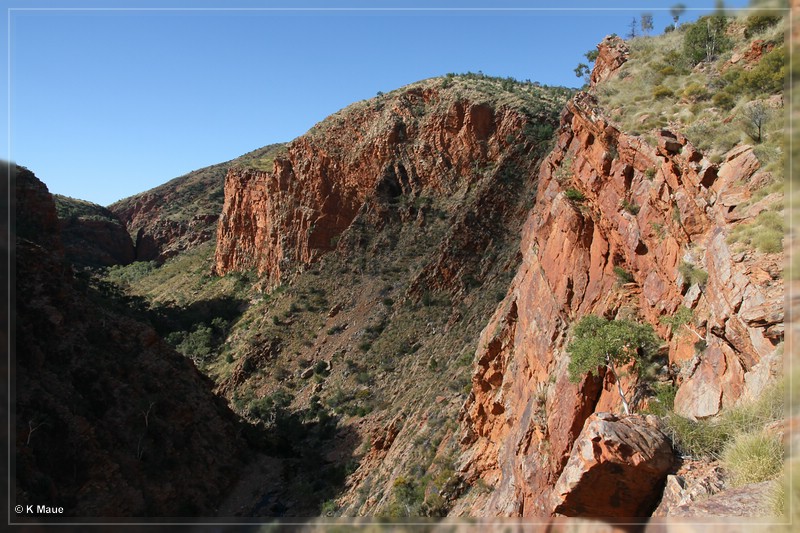 austr2011_019.jpg