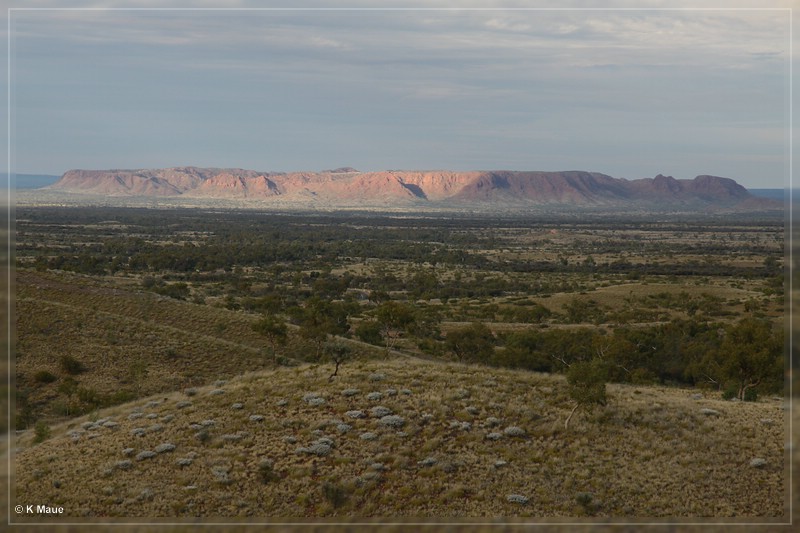 austr2011_054.jpg