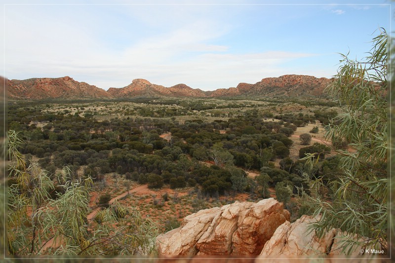 austr2011_058.jpg