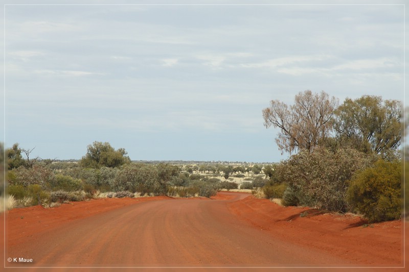 austr2011_063.jpg