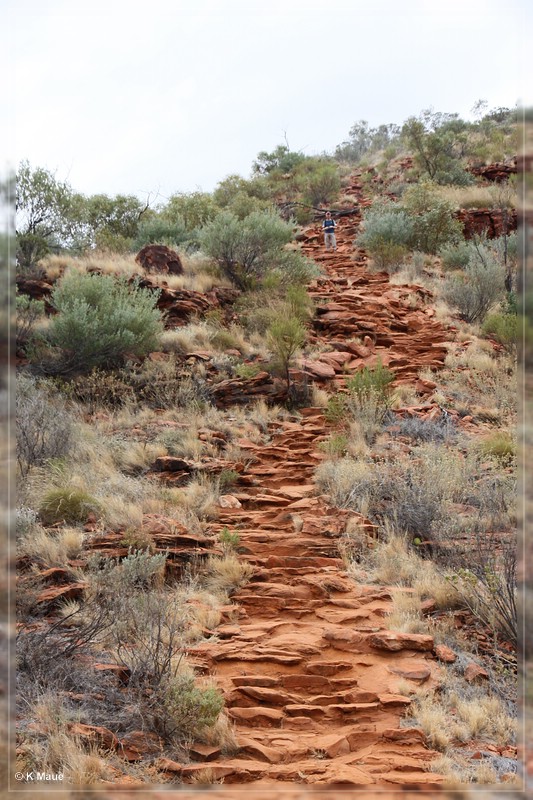 austr2011_064.jpg