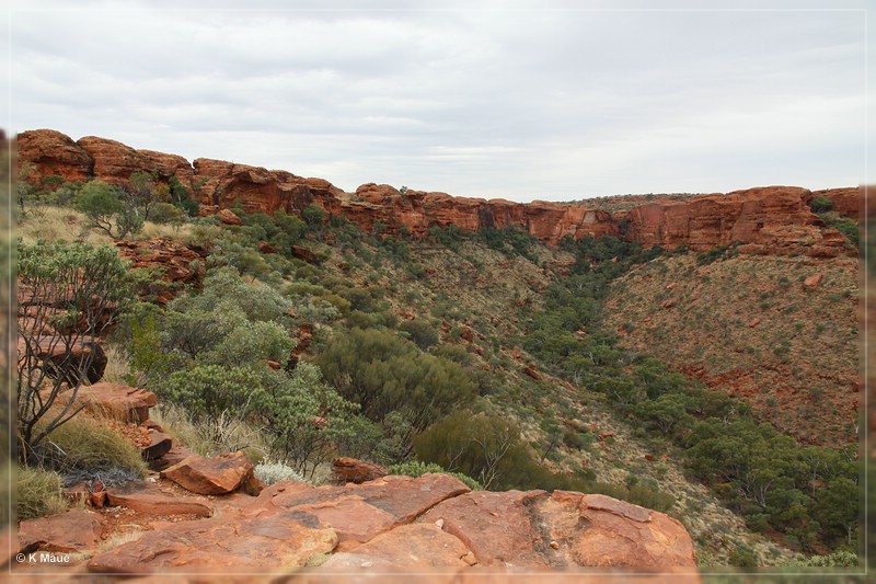 austr2011_066.jpg