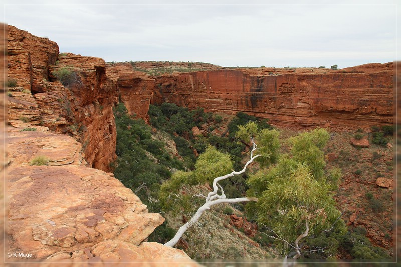 austr2011_070.jpg