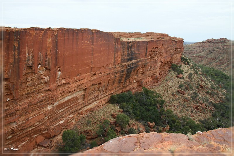 austr2011_072.jpg