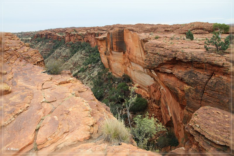austr2011_078.jpg
