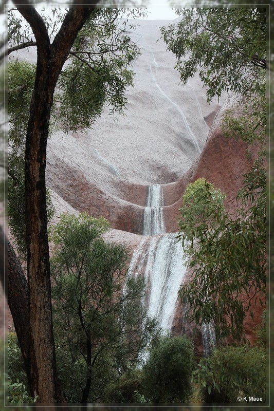 austr2011_085.jpg