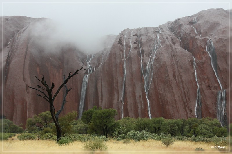 austr2011_087.jpg