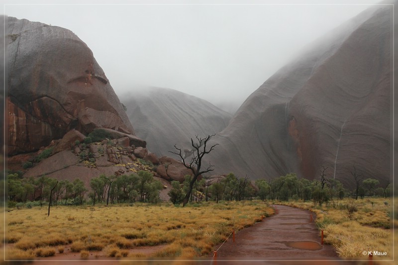 austr2011_091.jpg