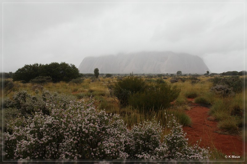 austr2011_095.jpg