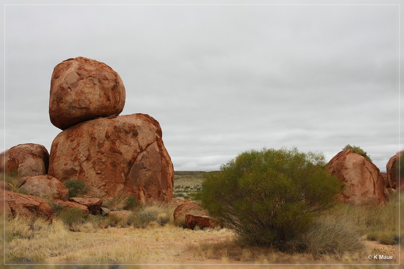 austr2011_101.jpg
